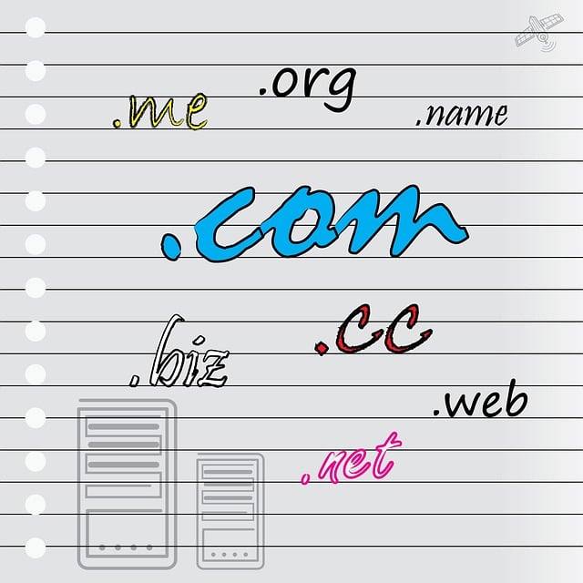 best-domain-or-hosting-provider-in-india